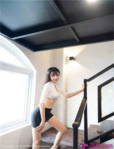 白象